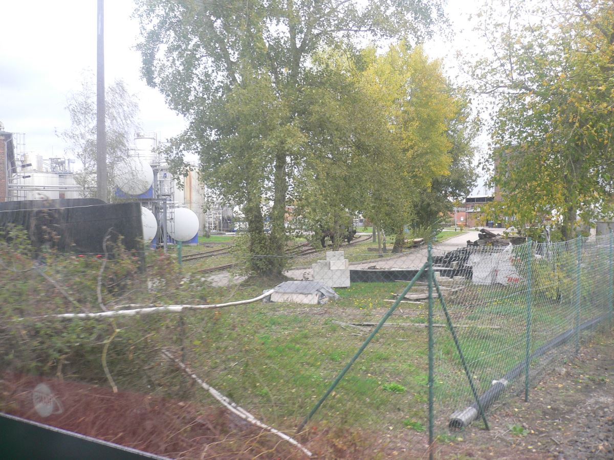 Großes Foto